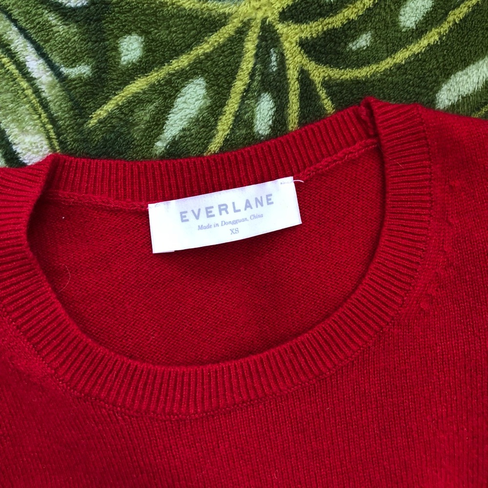 Everlane Cashmere Crew Neck